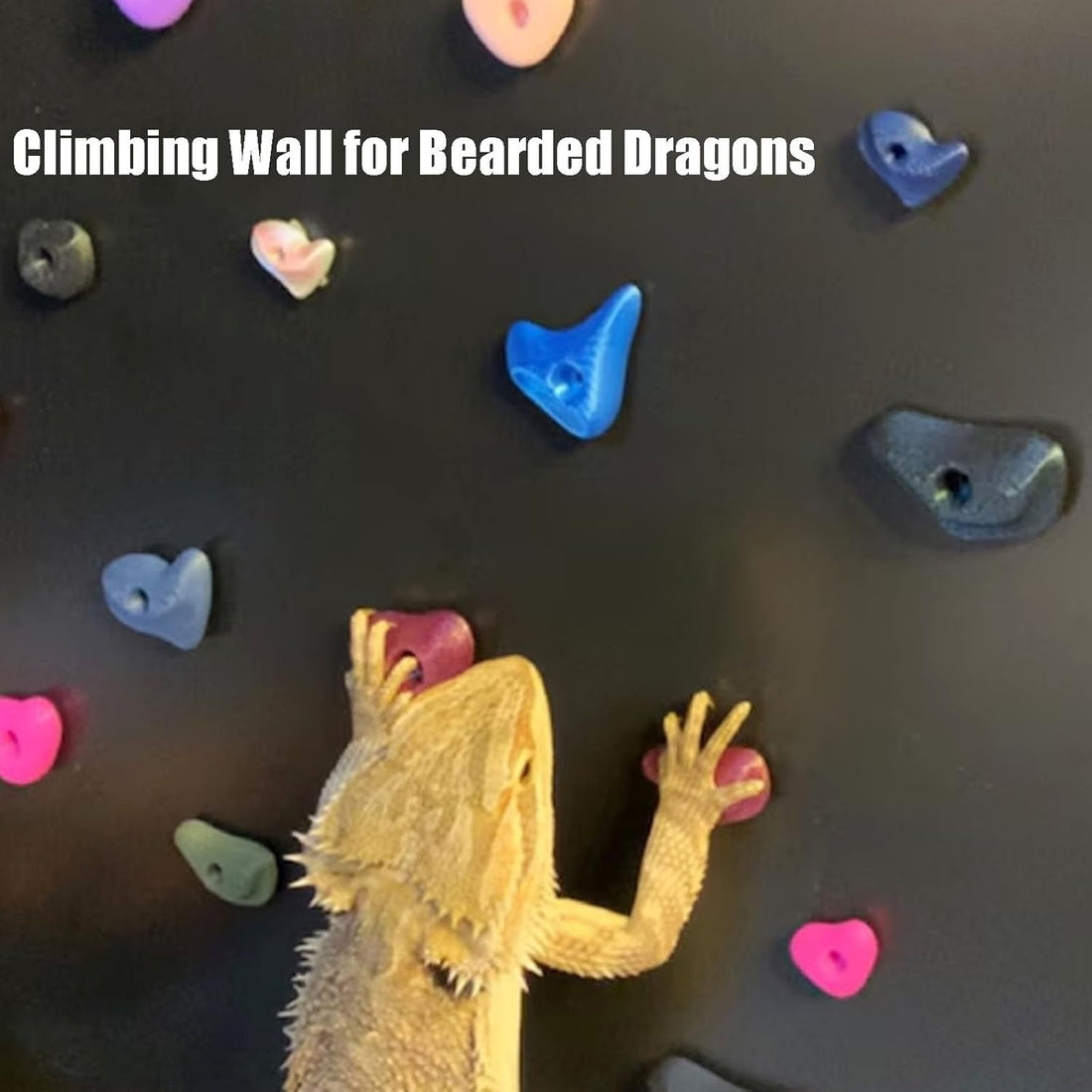 24Pcs Rock Climbing Holds for Bearded Dragons,Reptiles Toy Rock Wall