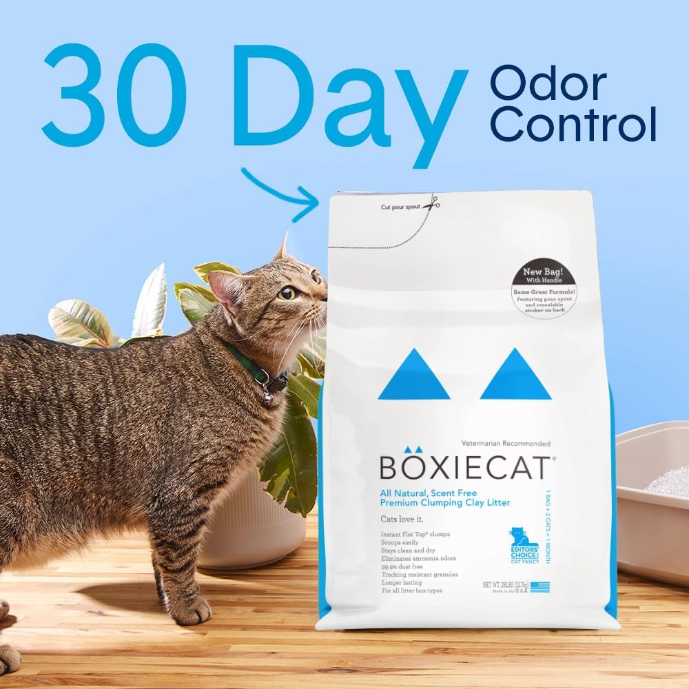 Boxie Unscented 30 Day Odor Control Clumping Clay Cat & Kitty Litter