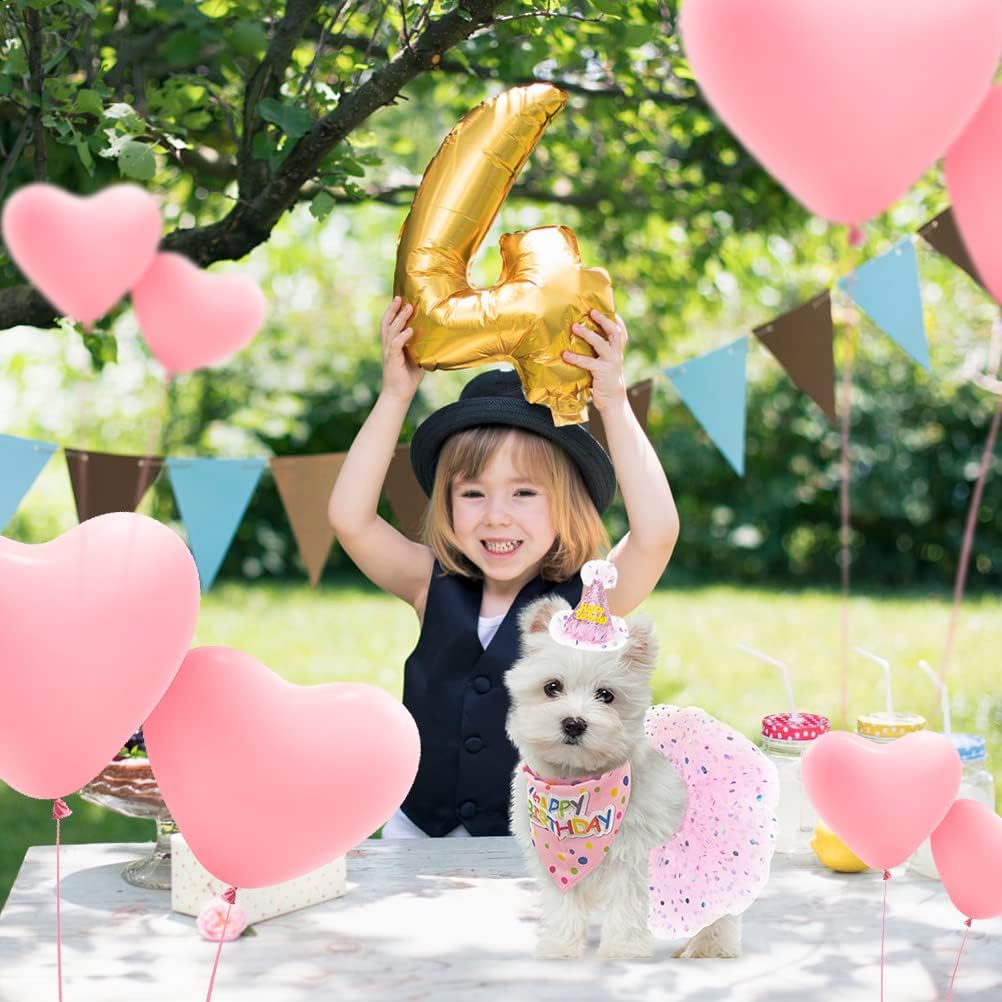 SCENEREAL Dog Birthday Bandana with Hat and Dress Girl Set