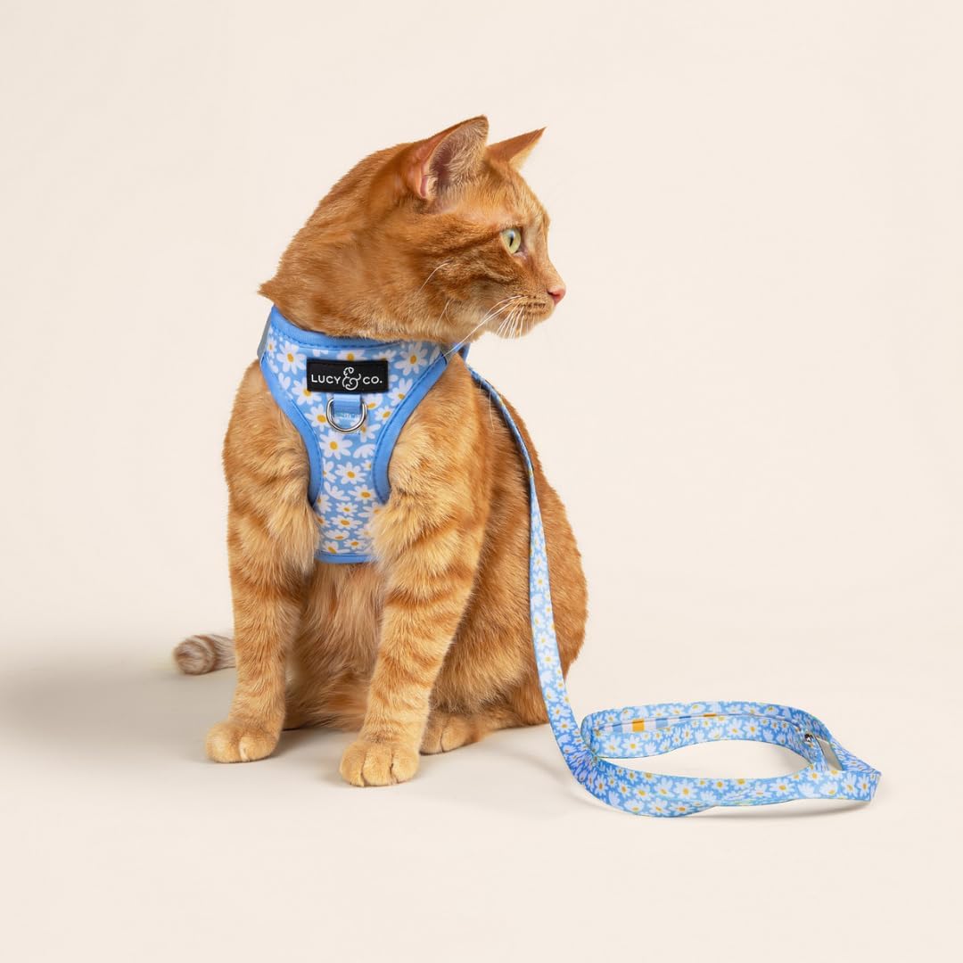 Lucy & Co. Simply Splendid Step-in Cat Harness & Leash Bundle