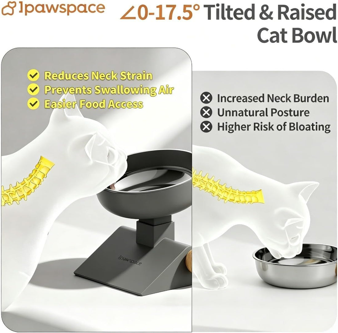 Elevated Cat Bowl with Height Adjustable 0-17.5° Tilt Stand,White