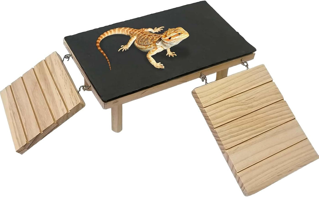 Reptile Bearded Dragon Basking Platform Rock with Climbing Ramp,L