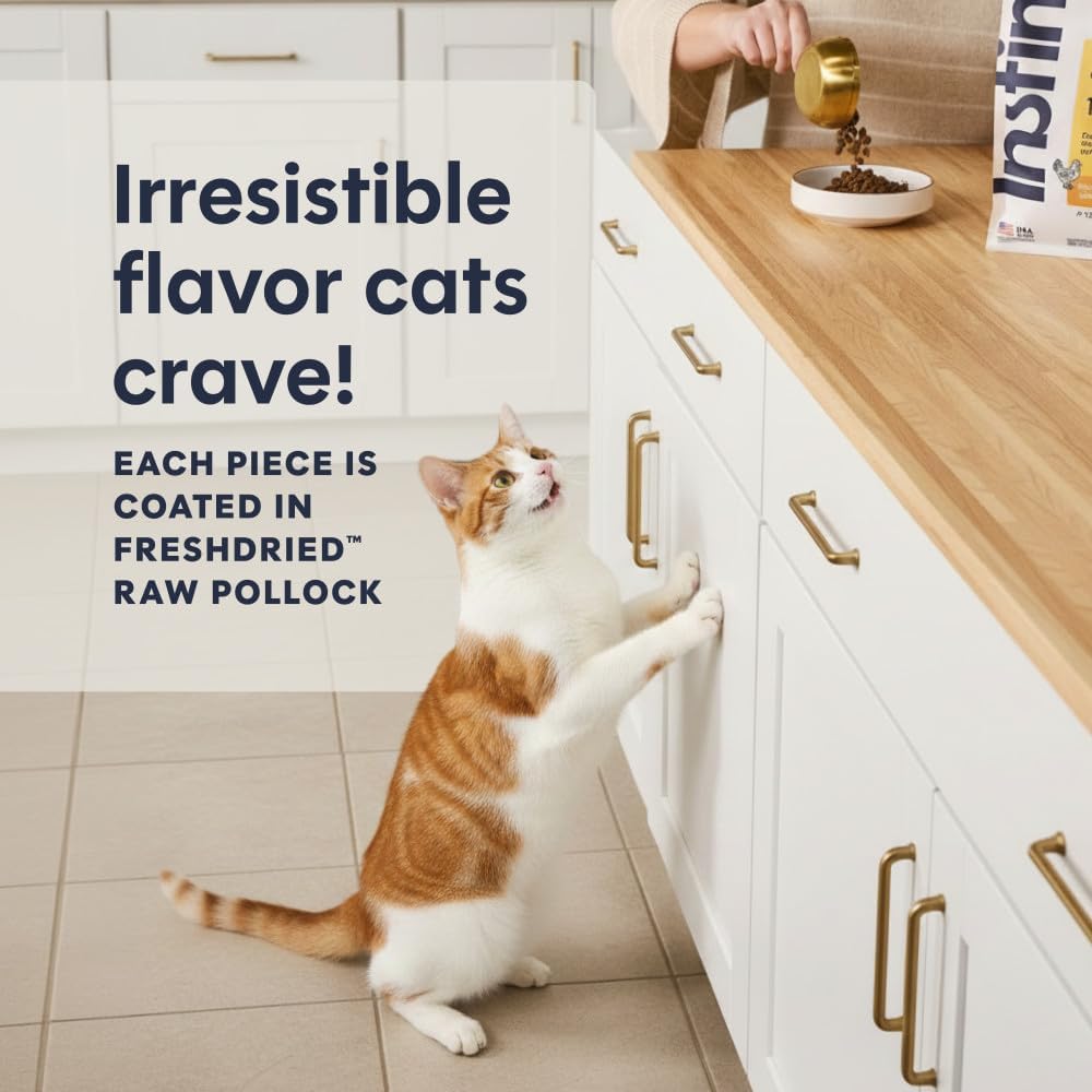 Instinct Original Dry Cat Food, Raw Coated Kibble, High Protein