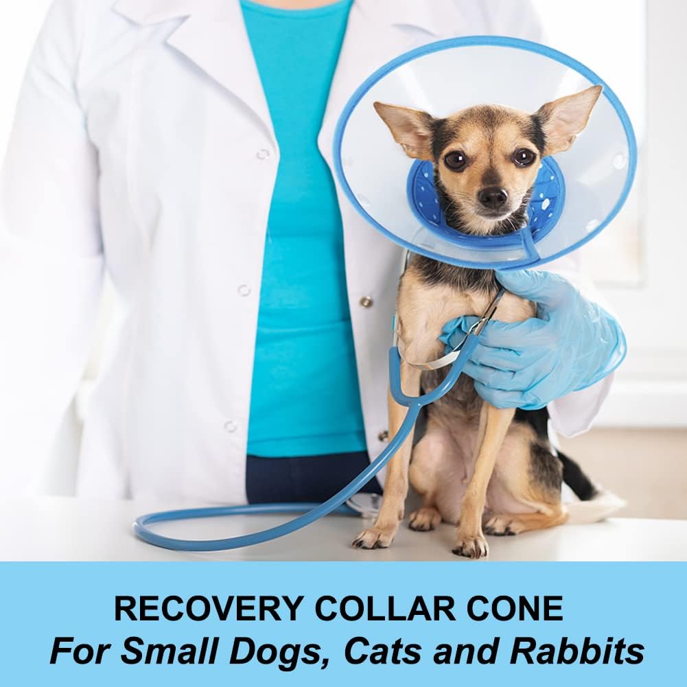 Vivifying Dog Cones for Small Dogs