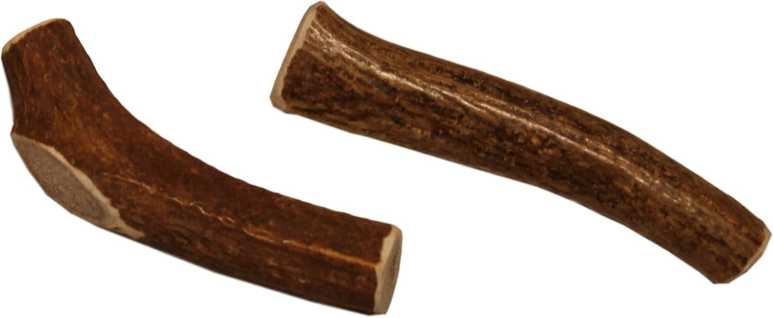 Elkhorn Premium Chews – X Large Whole Single Elk Antler Chew