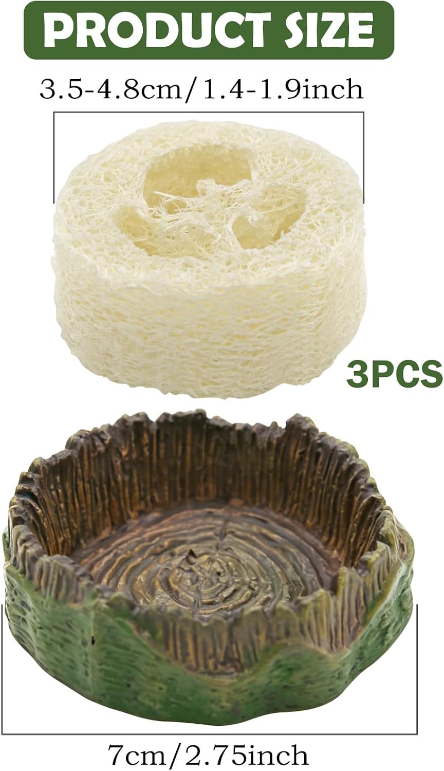 Cockroach Water Basin & 3 Loofah Set