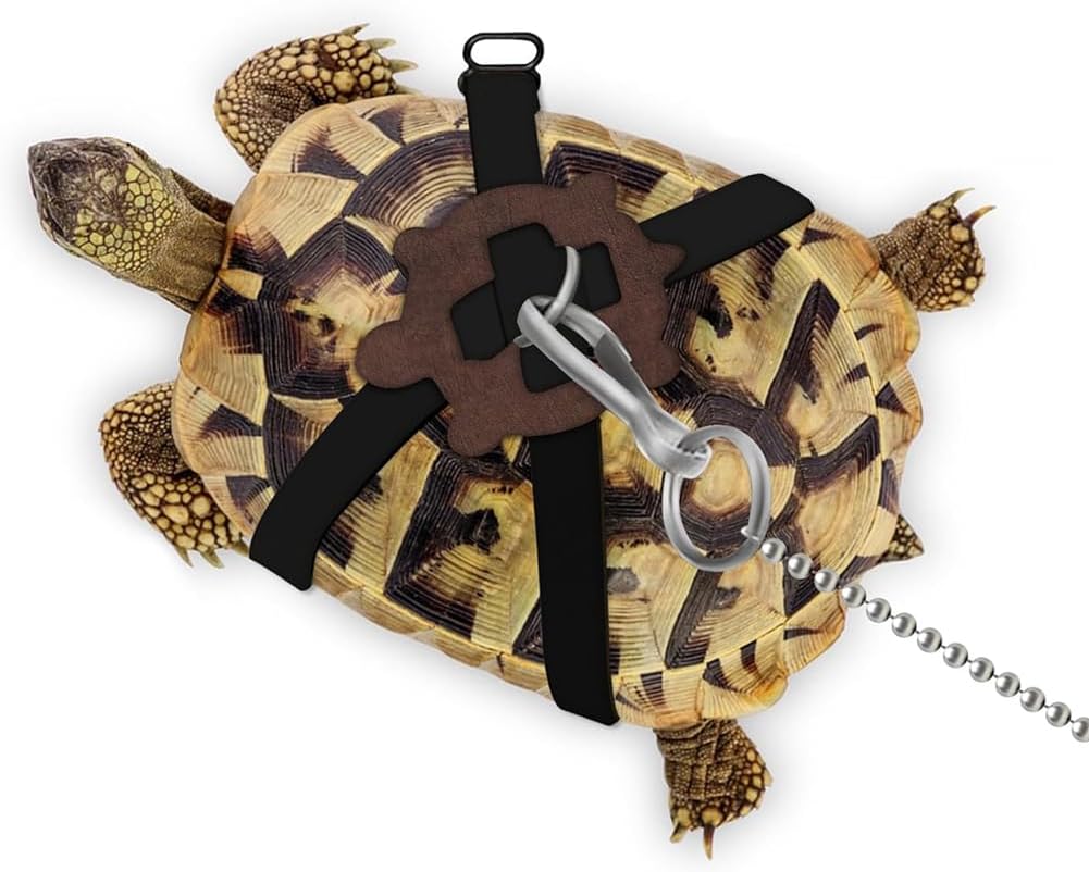 Adjustable Harness & Leash Set Strap for Turtles Small Pet Leash