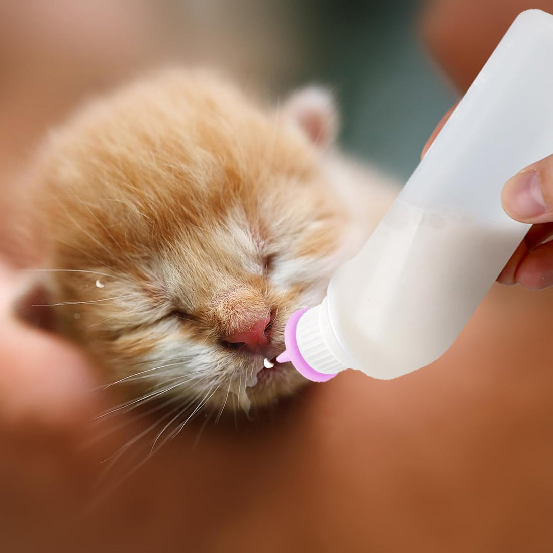 Xuandea 5Pack Kitten Bottle for Nursing Puppy Milk Kitten Bottles