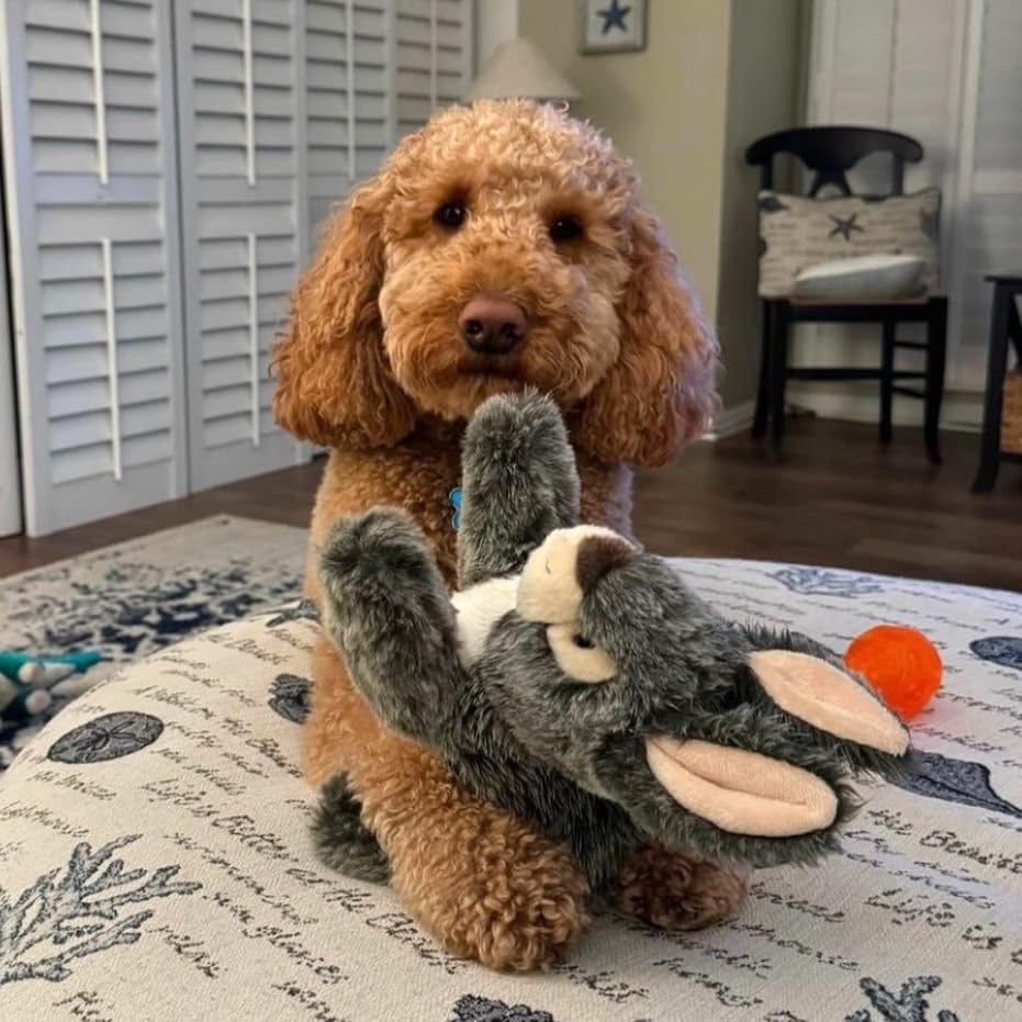 Fluff & Tuff – Walter Wabbit Plush Dog Toy