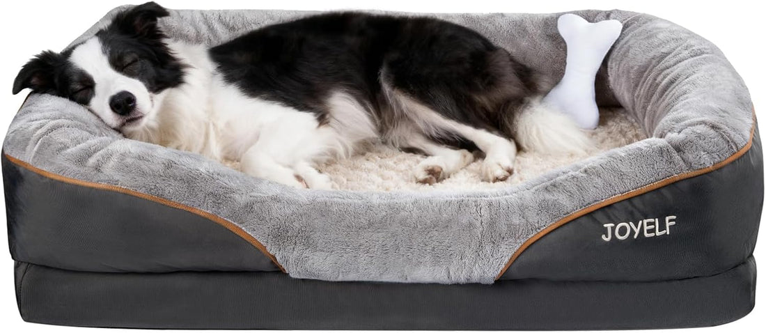 JOYELF Medium Memory Foam Dog Bed Orthopedic Dog Bed & Sofa