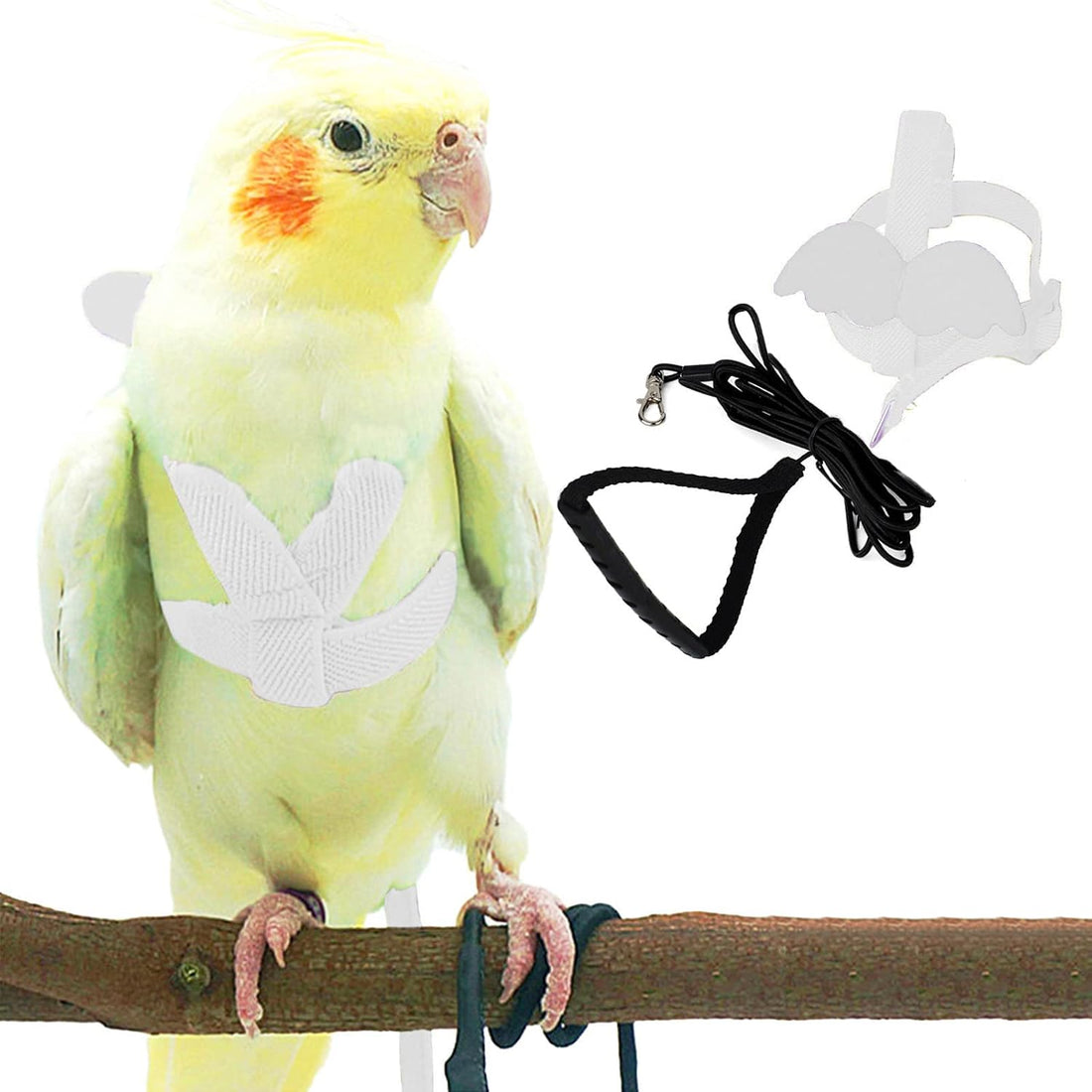 Dnoifne Parrot Harness and Leash, Adjustable Training Design Anti-Bite
