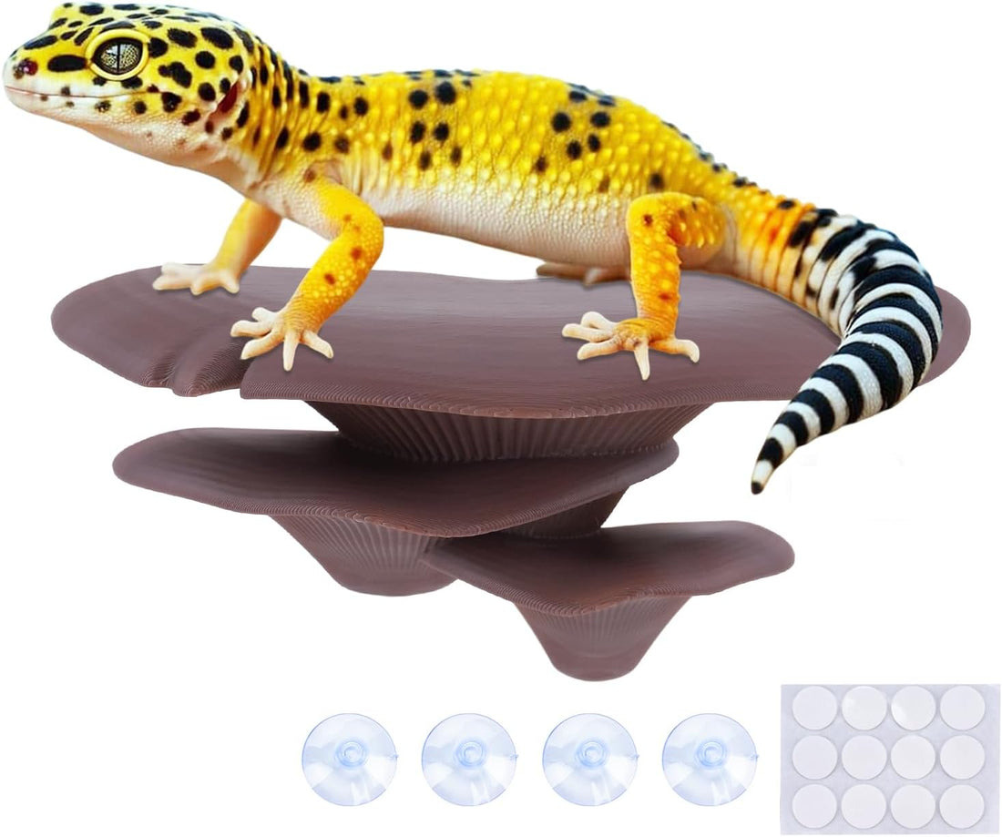 Westant Mushroom Decor for Reptile Tank, Forest, Trio
