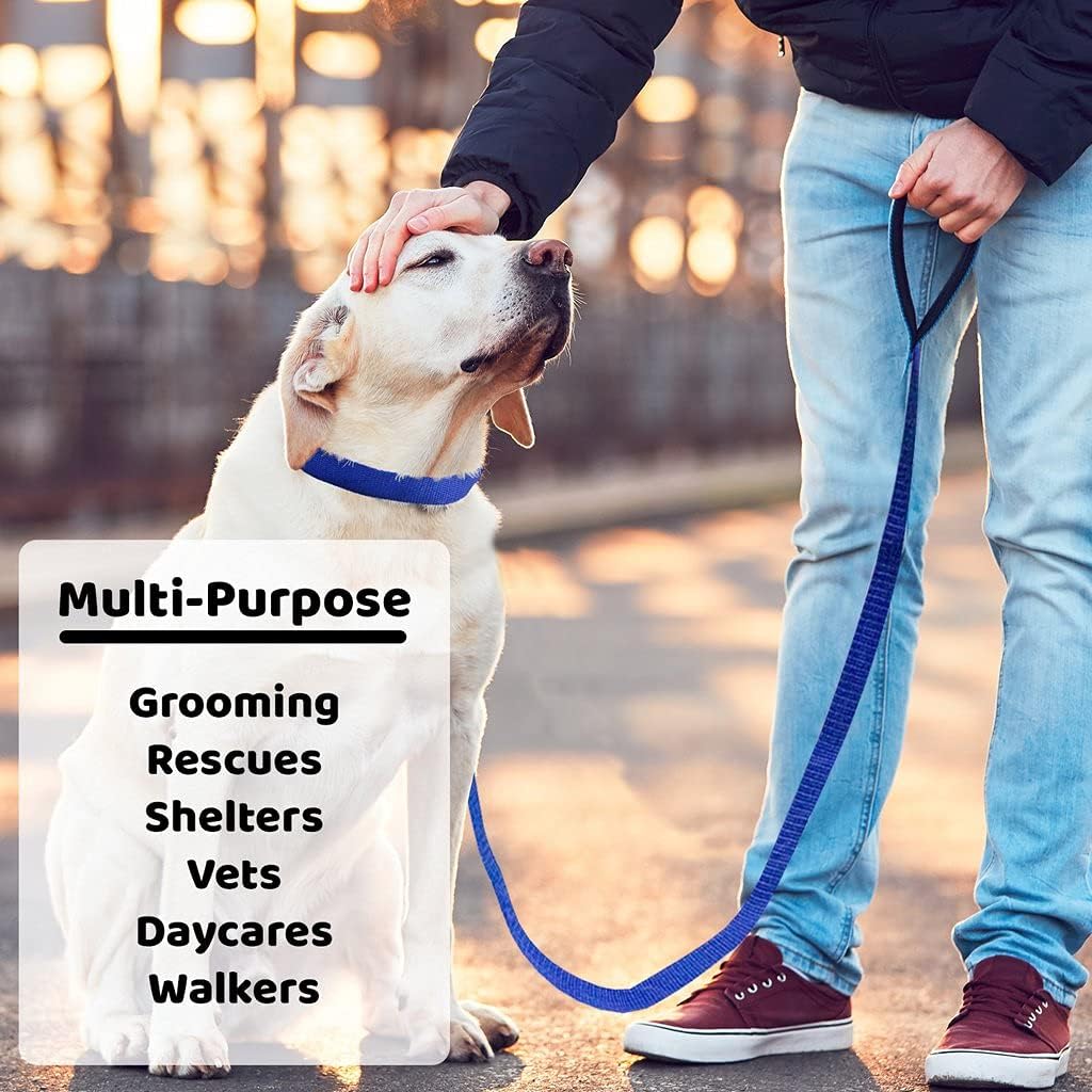 Downtown Pet Supply Slip Lead Dog Leash 6 Pack, 4' x 1/2"
