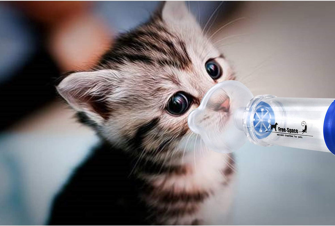 Free-Space Cat/Dog Inhaler Spacer,Feline/Cannie Aerosol Chamber