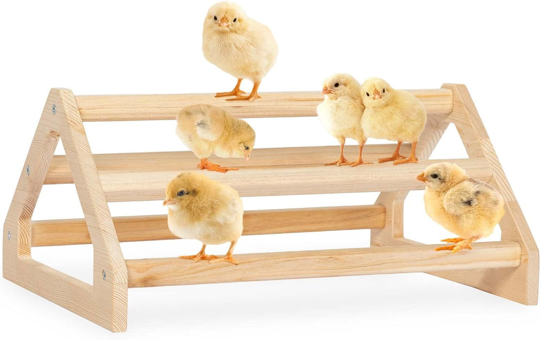 PETSFIT Baby Chick Roosting Bar, Anti-Rotation, Solid Wood