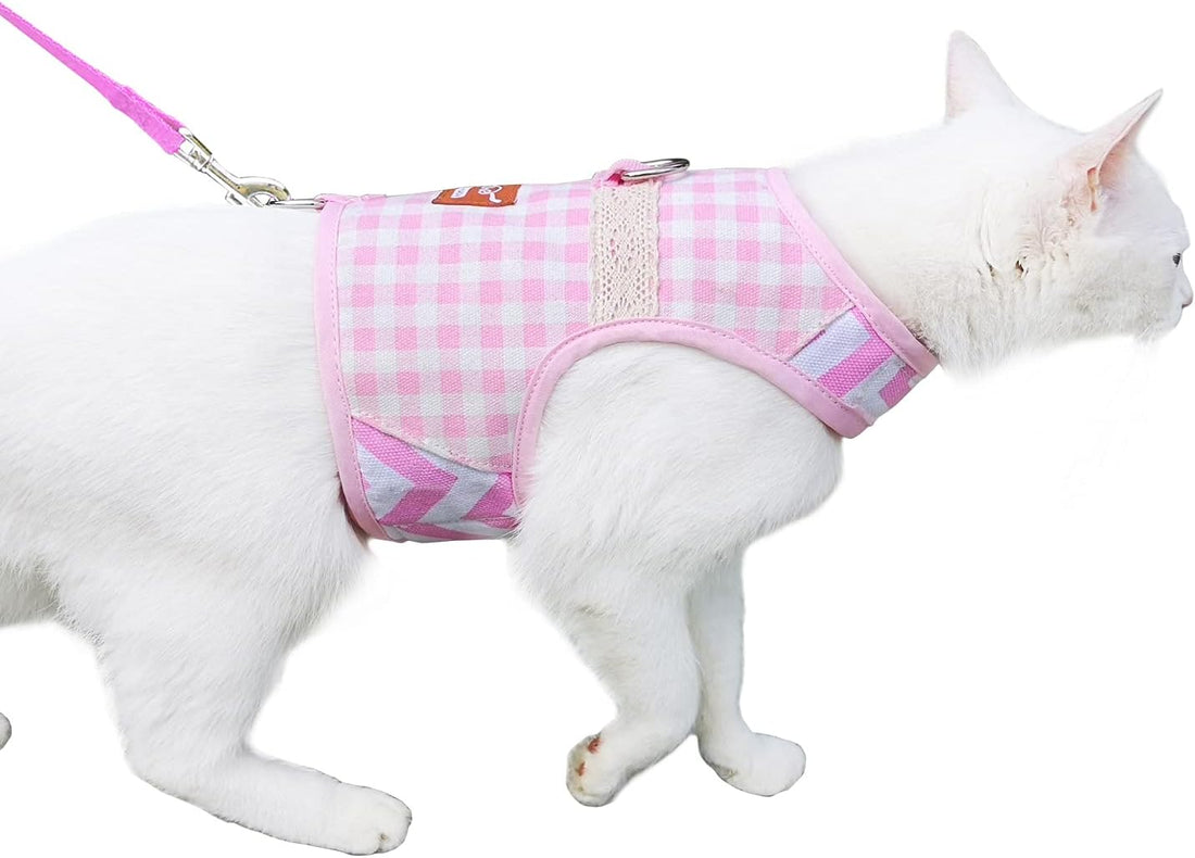 Cat Harness and Leash Set for Walking Escape Proof, Blue, Large