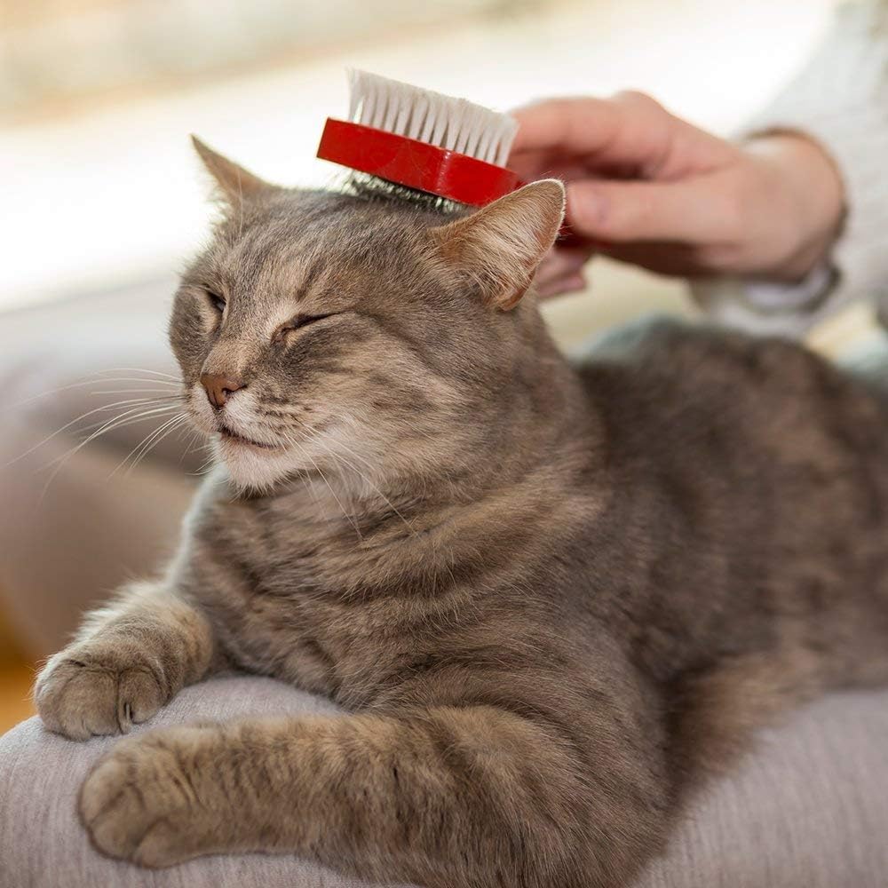 Vet's Best Waterless Cat Bath, No Rinse Waterless Dry Shampoo for Cats