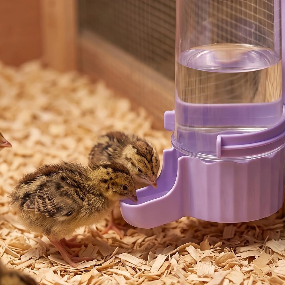 2 Pack Quail Hanging Gravity Waterer Automatic Cage Drinking Dispenser