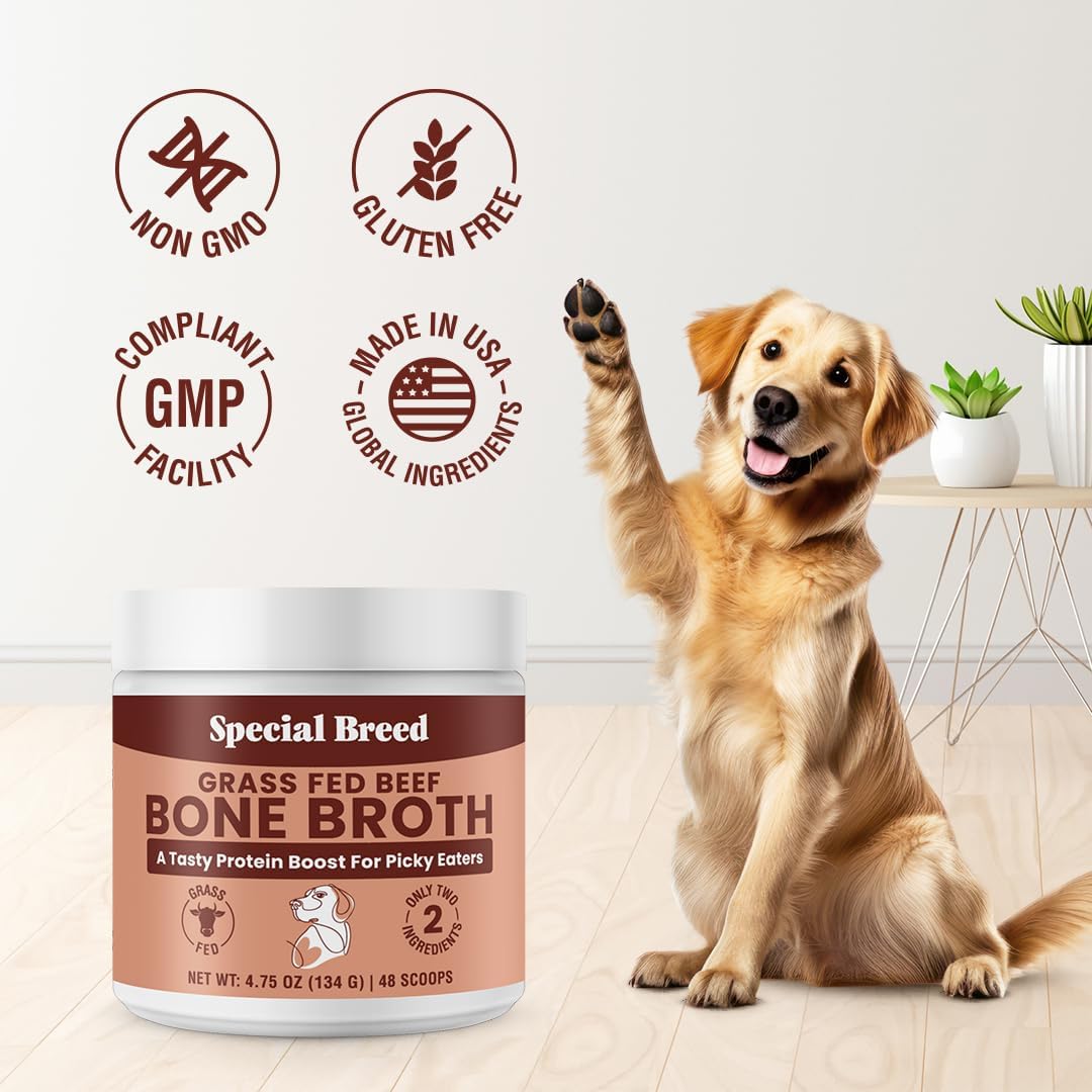 Bone Broth Powder for Dogs and Cats