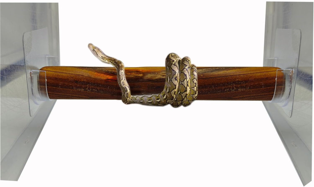 6 Pack Snake Branch Perch Mount Branch Supports Terrarium Snake