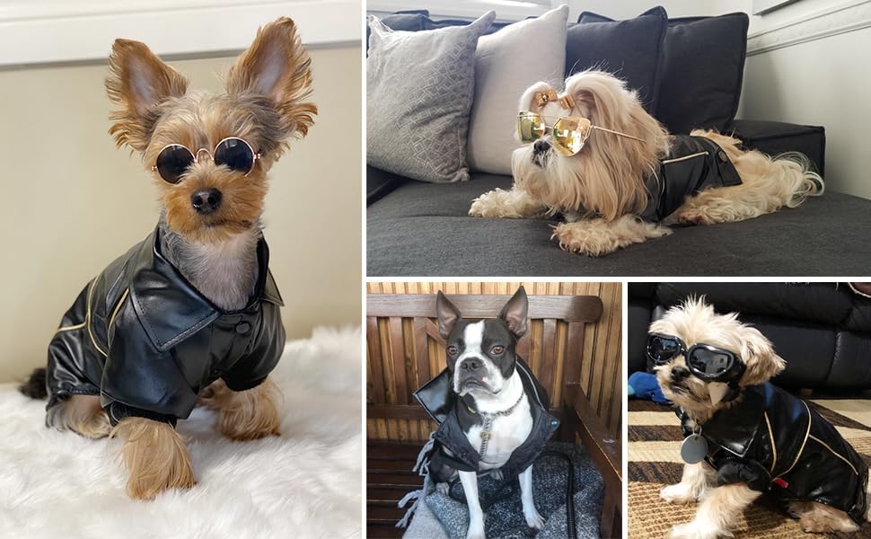 NIULA Dog Leather Jacket - Cute Leather Dog Jackets Motorcycle