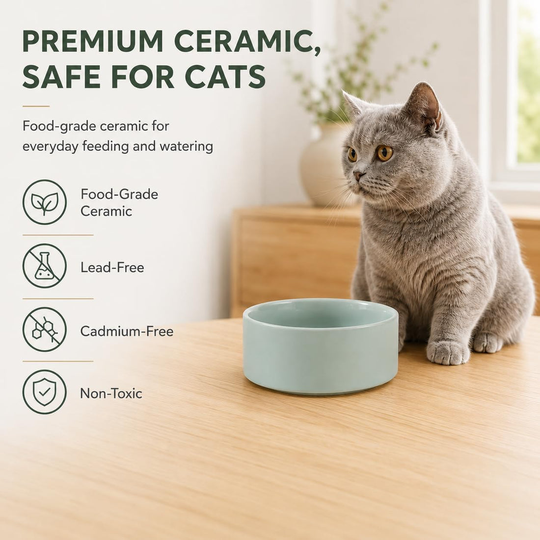 Havniva Cat Bowls Water Bowl Set of Two