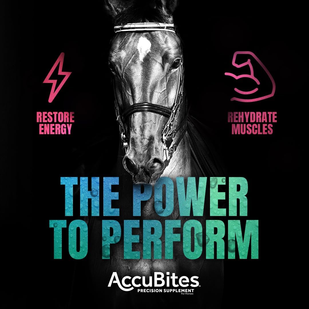Manna Pro AccuBites Replenish Supplement, Horse Electrolyte Support
