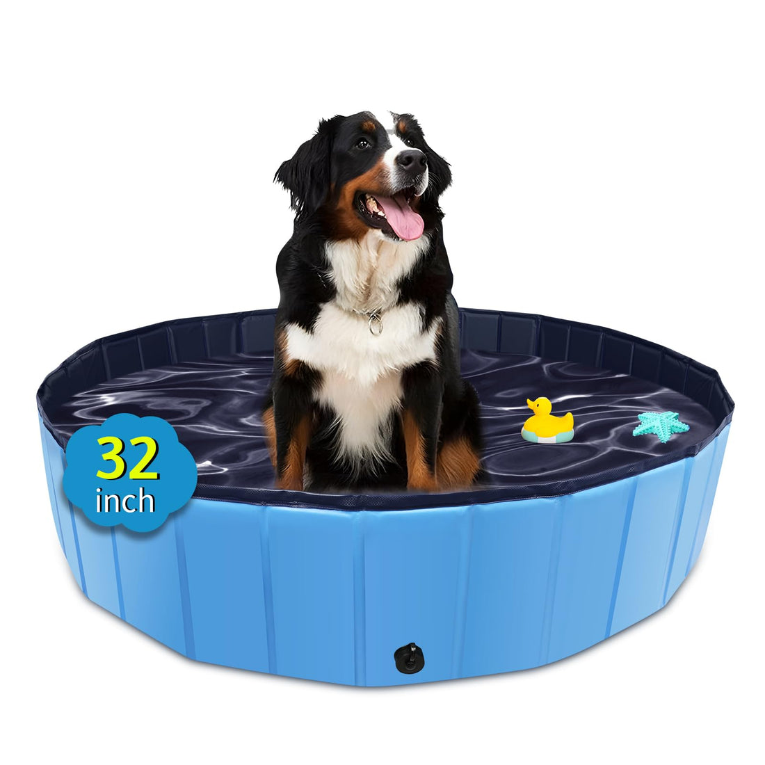 CACSPS Foldable Dog Pool with Hard Plastic, Non-Slip