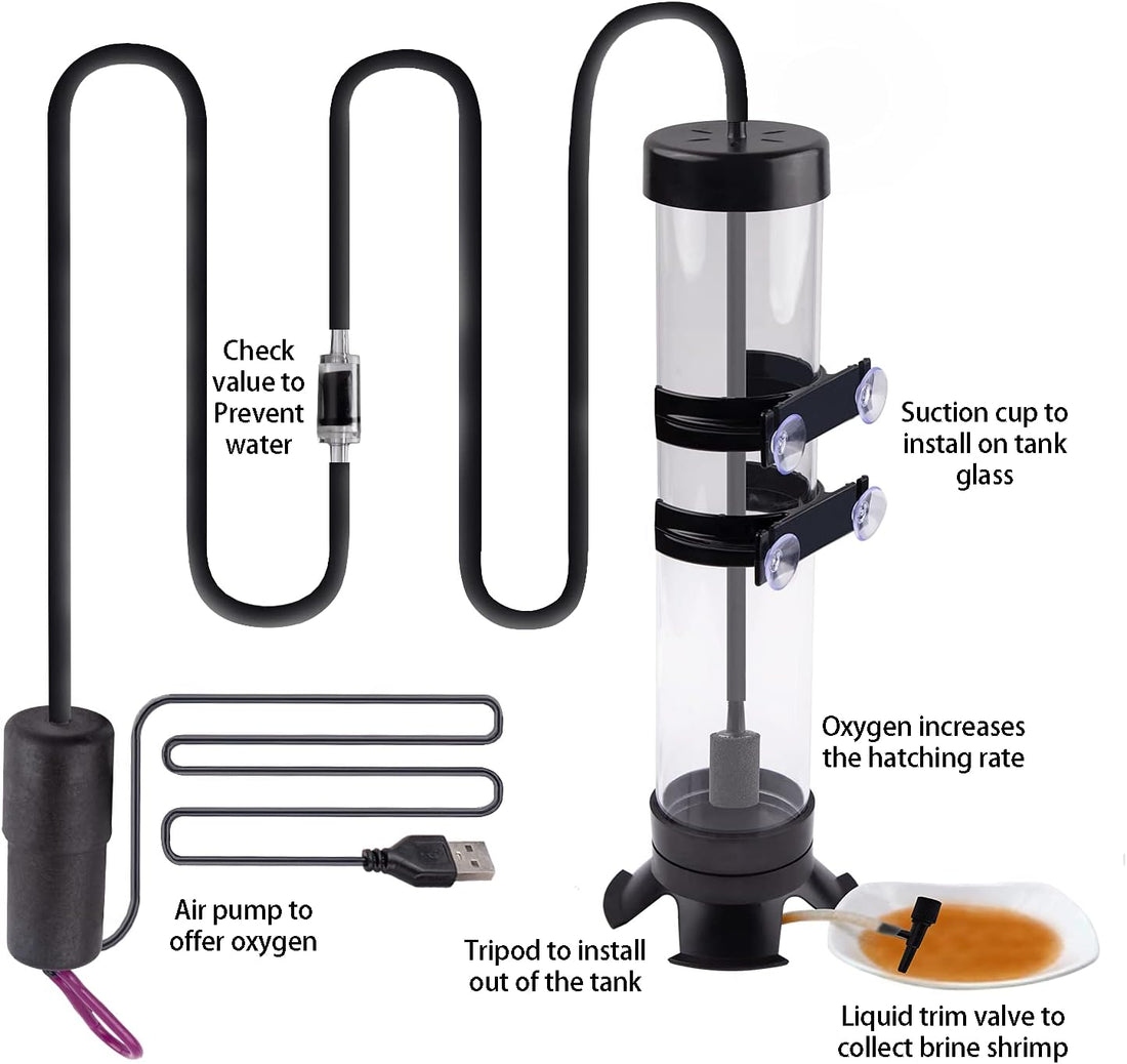 NestBasics Brine Shrimp Hatchery Kit - Artemia Eggs Incubator