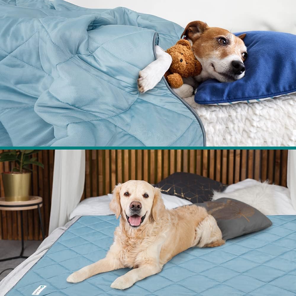 PetAmi Lightweight Cooling Blanket for Dogs & Cats