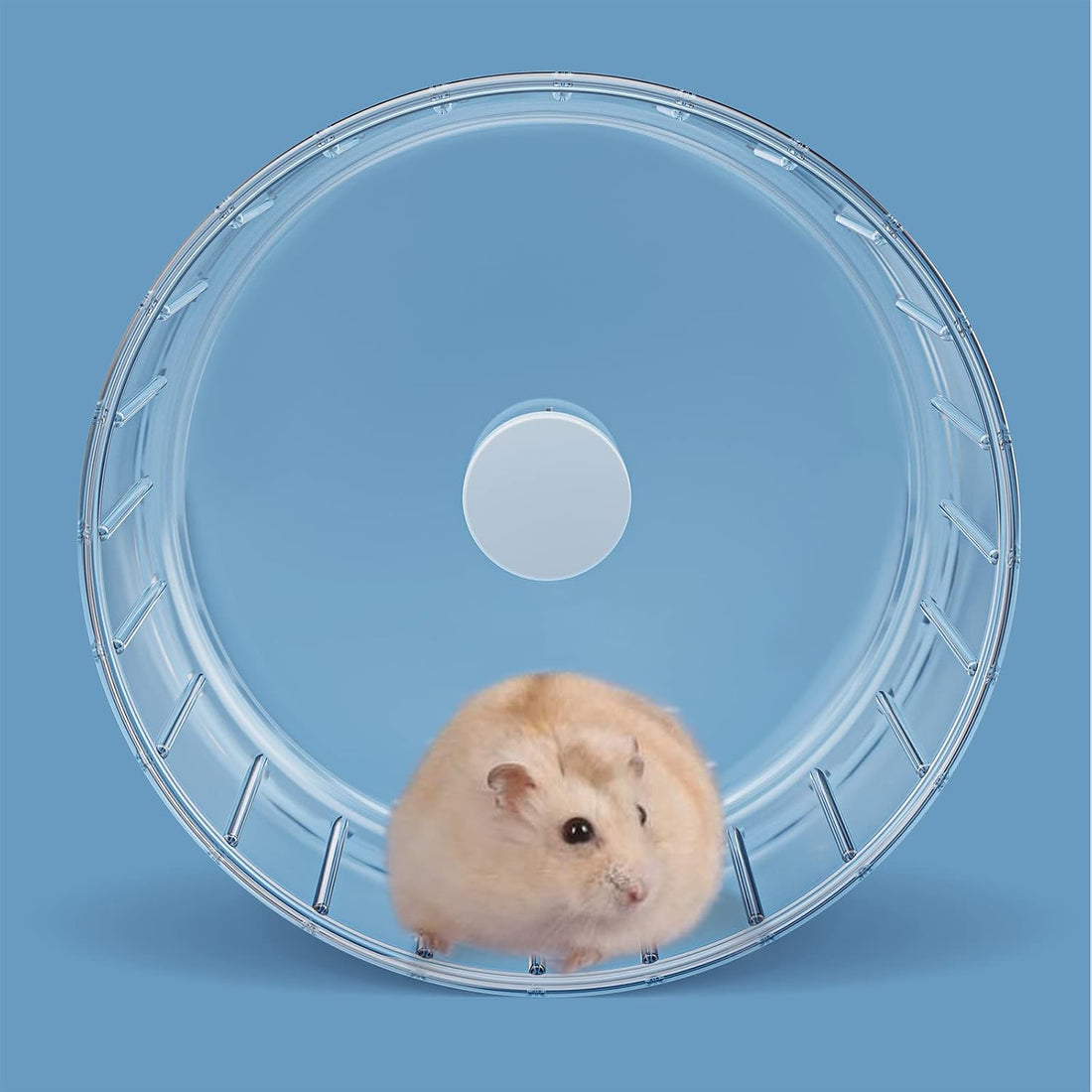 BUCATSTATE Silent Hamster Wheel, 6.7in Exercise Wheel for Gerbil