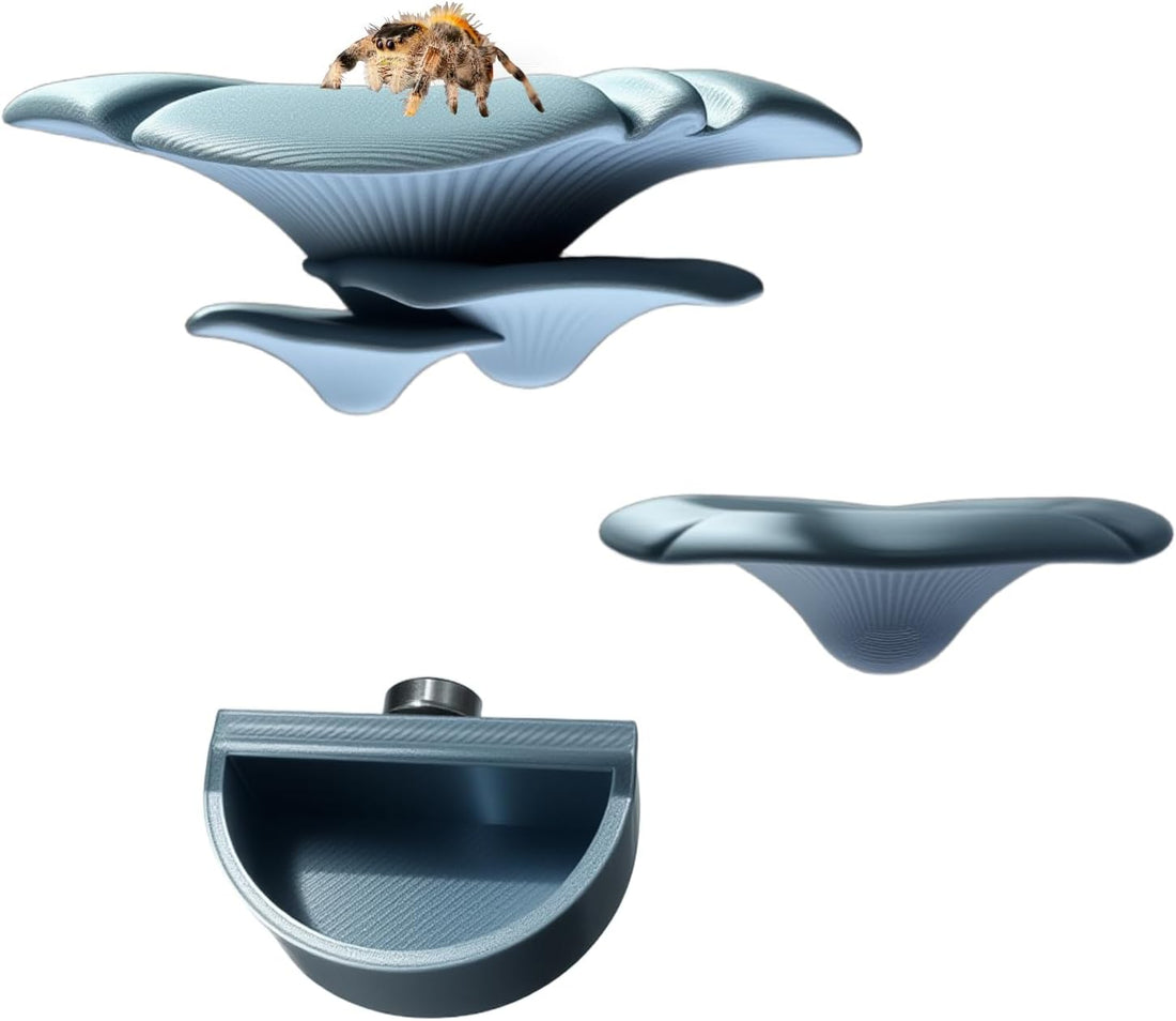 2 Pack Jumping Spider Accessories Mushroom Ledges & 1 Pack Water Bowl