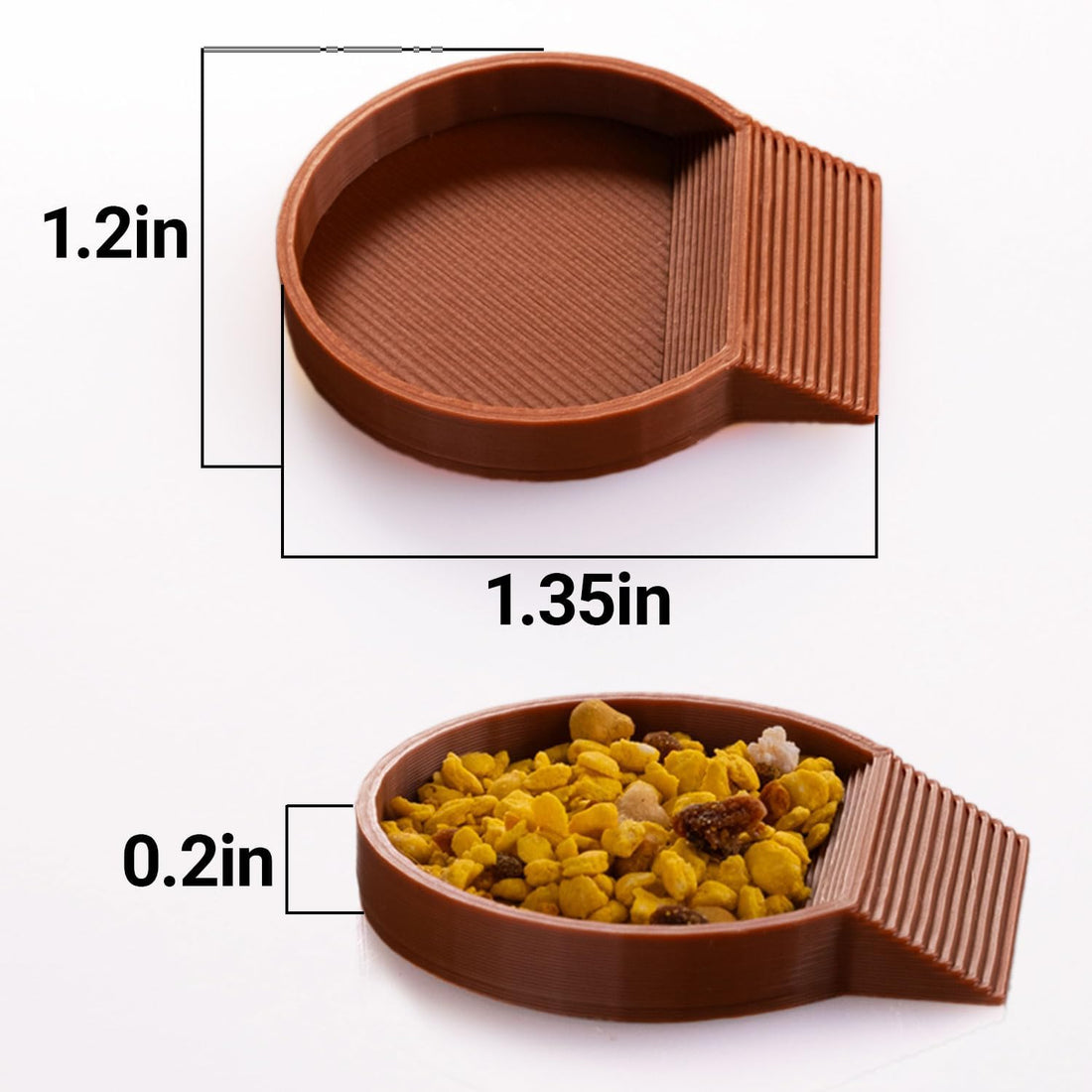 12-Pack Feeding Dish for Invertebrates