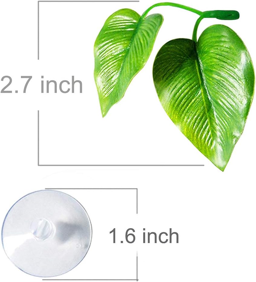 CousDUoBe 2 Pack Betta Fish Leaf Pad Improves Betta's Health by