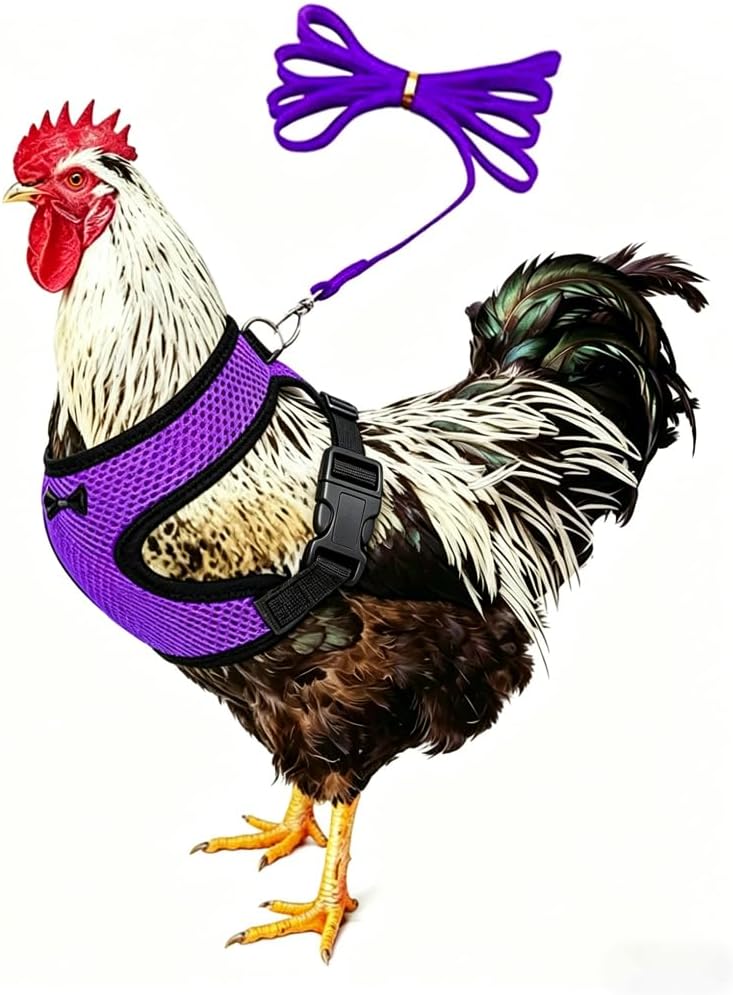 Adjustable Chicken Harness and Leash