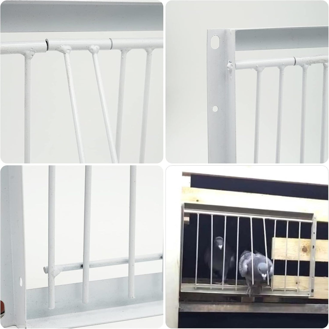 11.8in/30cm Pigeon Door Entrance Racing Pigeon Cage T Bars Birdcage Iron Wire Door for Bird Cage Breeding Supply