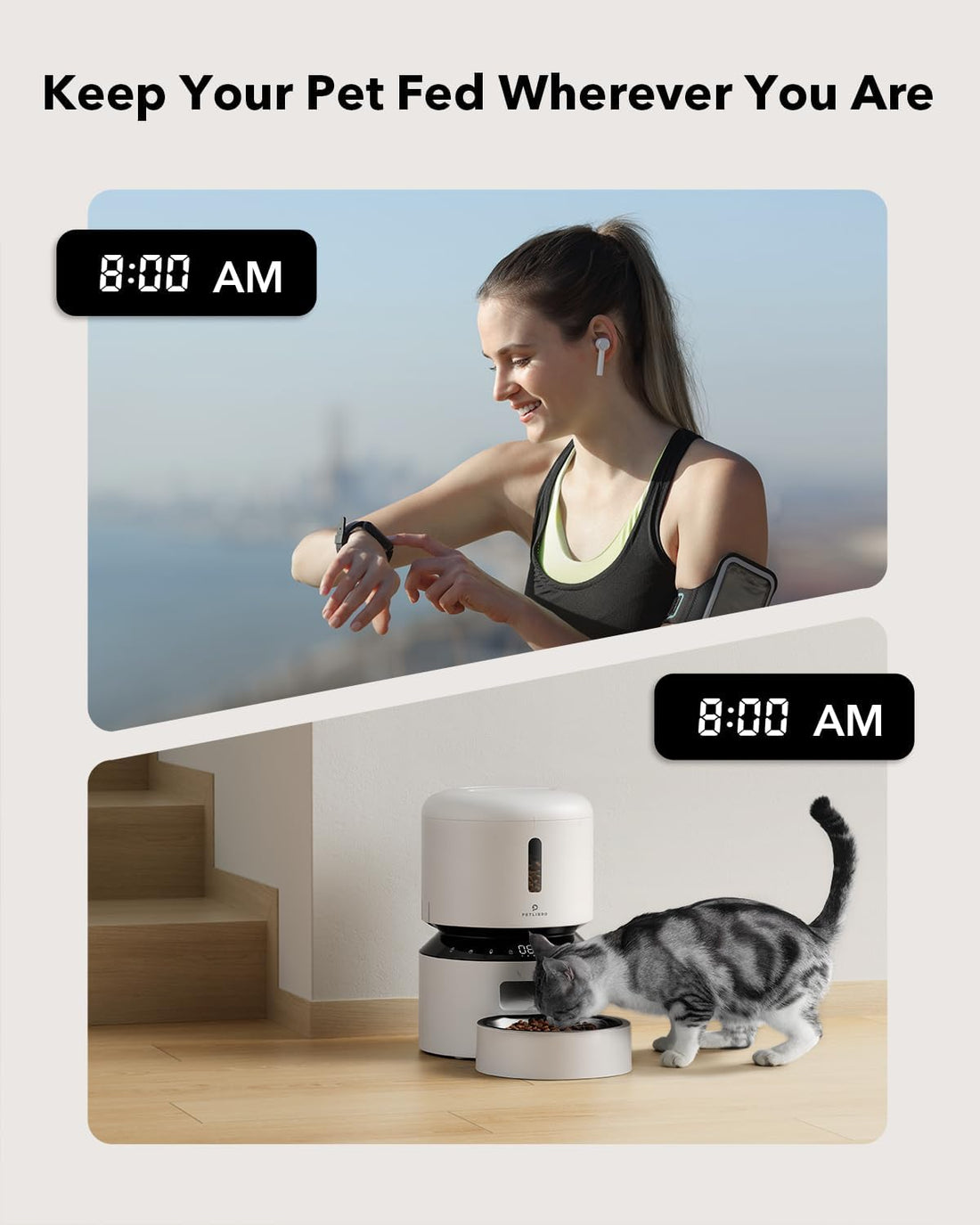 PETLIBRO Automatic Cat Feeder
