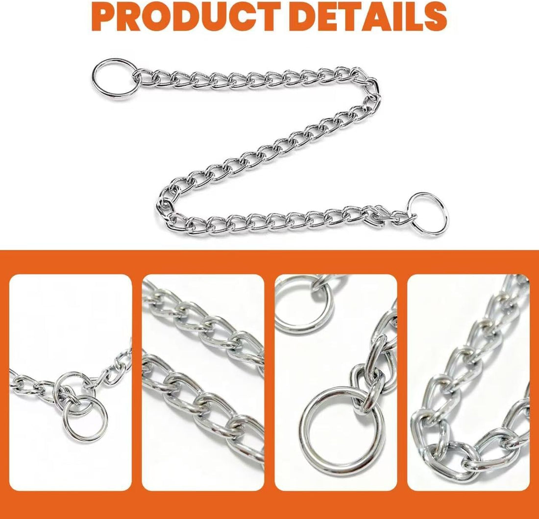 Martingale Dog Collar for Small Dogs