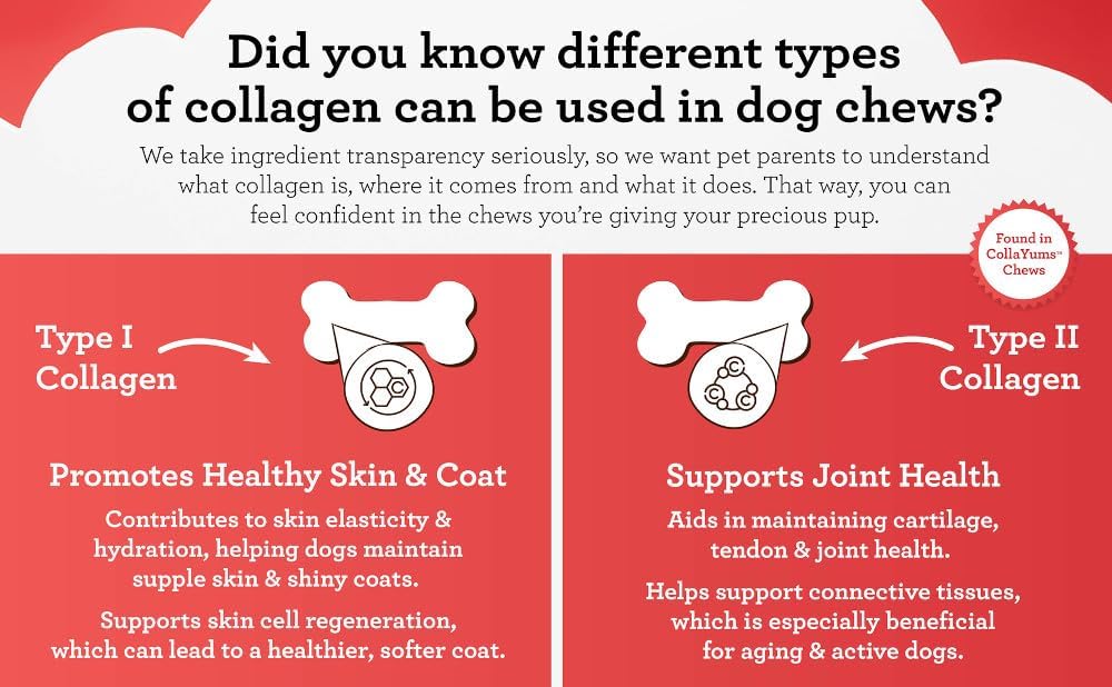 DreamBone CollaYUMS Twists Plus Collagen Rawhide-Free Dog Treats