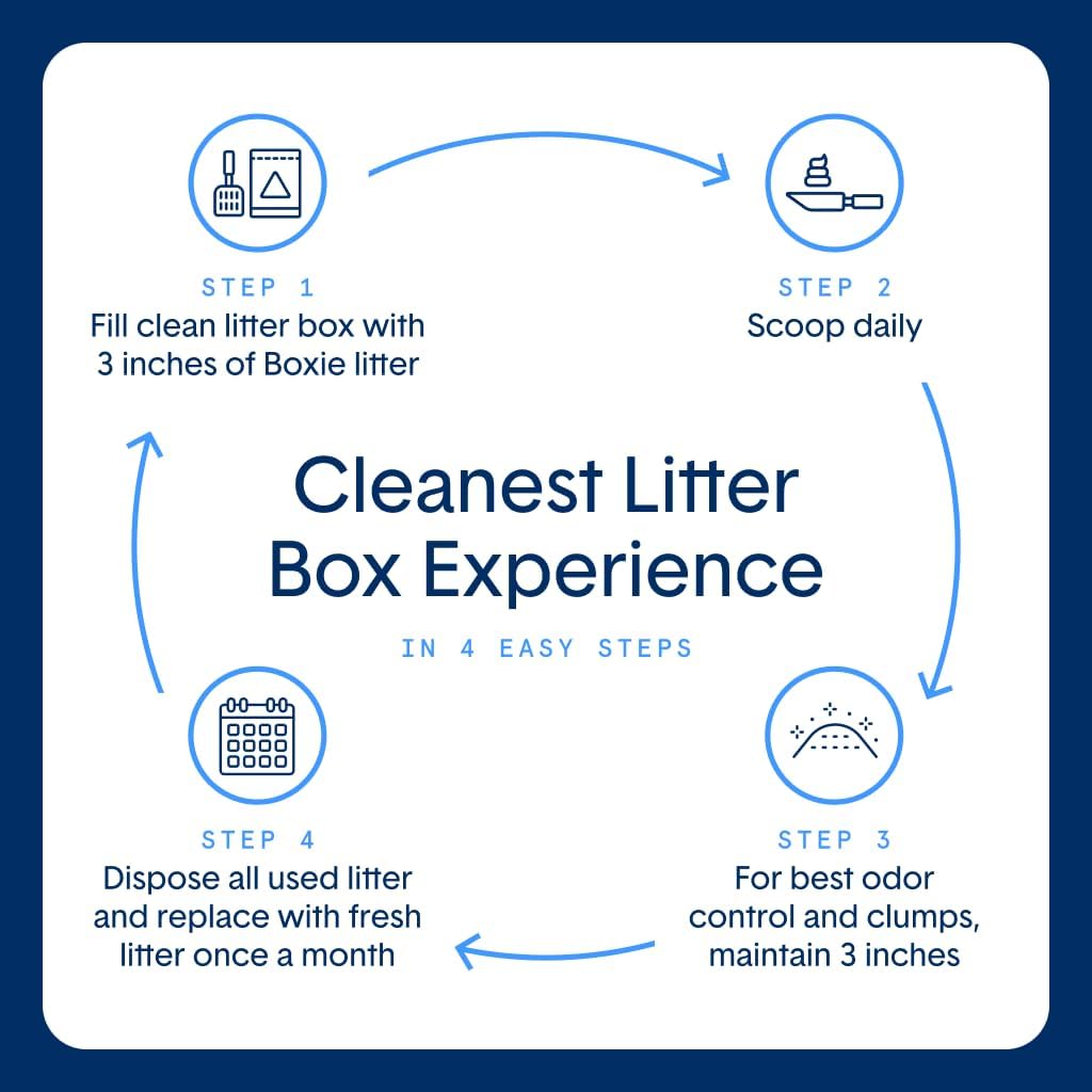 Boxie Unscented 30 Day Odor Control Clumping Clay Cat & Kitty Litter
