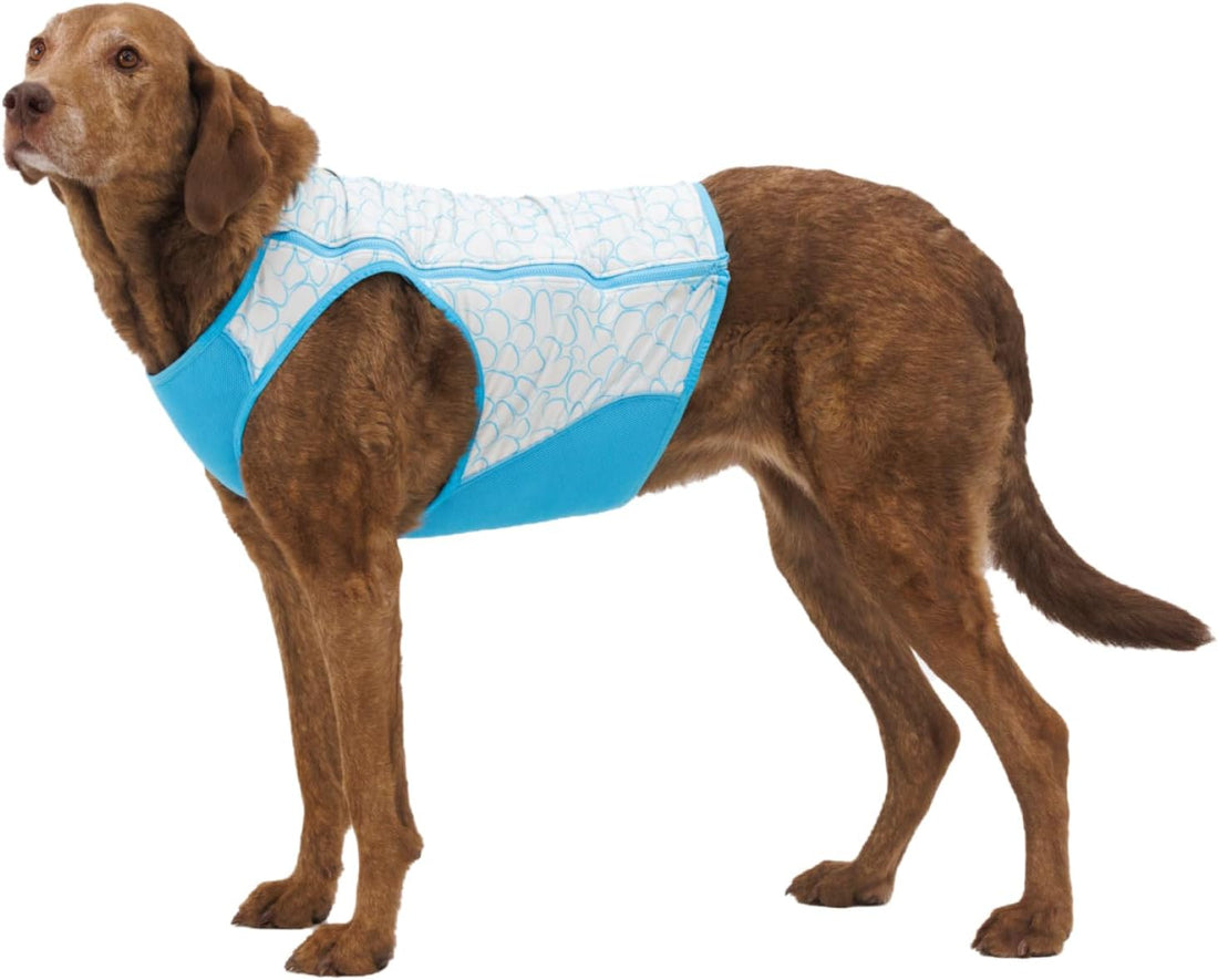 Ruffwear, Swamp Cooler Zip Dog Vest
