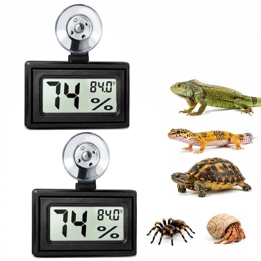 2 Pack Reptile Temperature and Humidity Monitor with Suction Cup