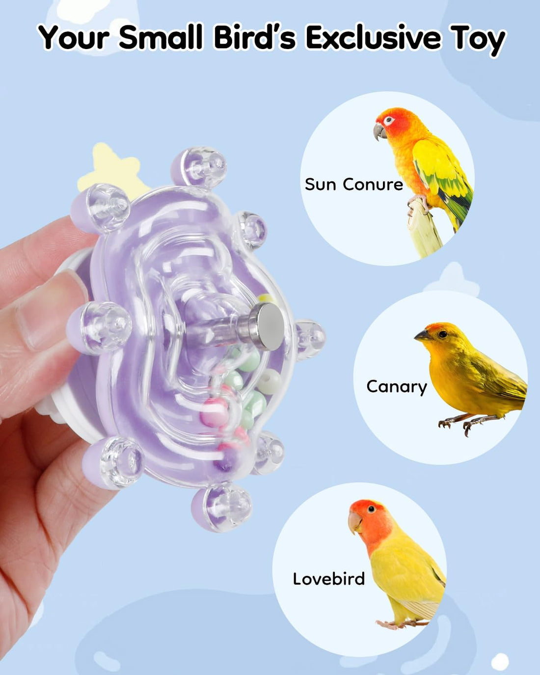 Pawfly 2 Pcs Bird Toys for Parakeets
