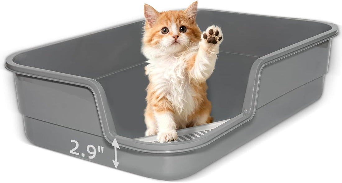 Extra Large Litter Box with Low Entry,Jumbo Cat Litter Box for Kitty