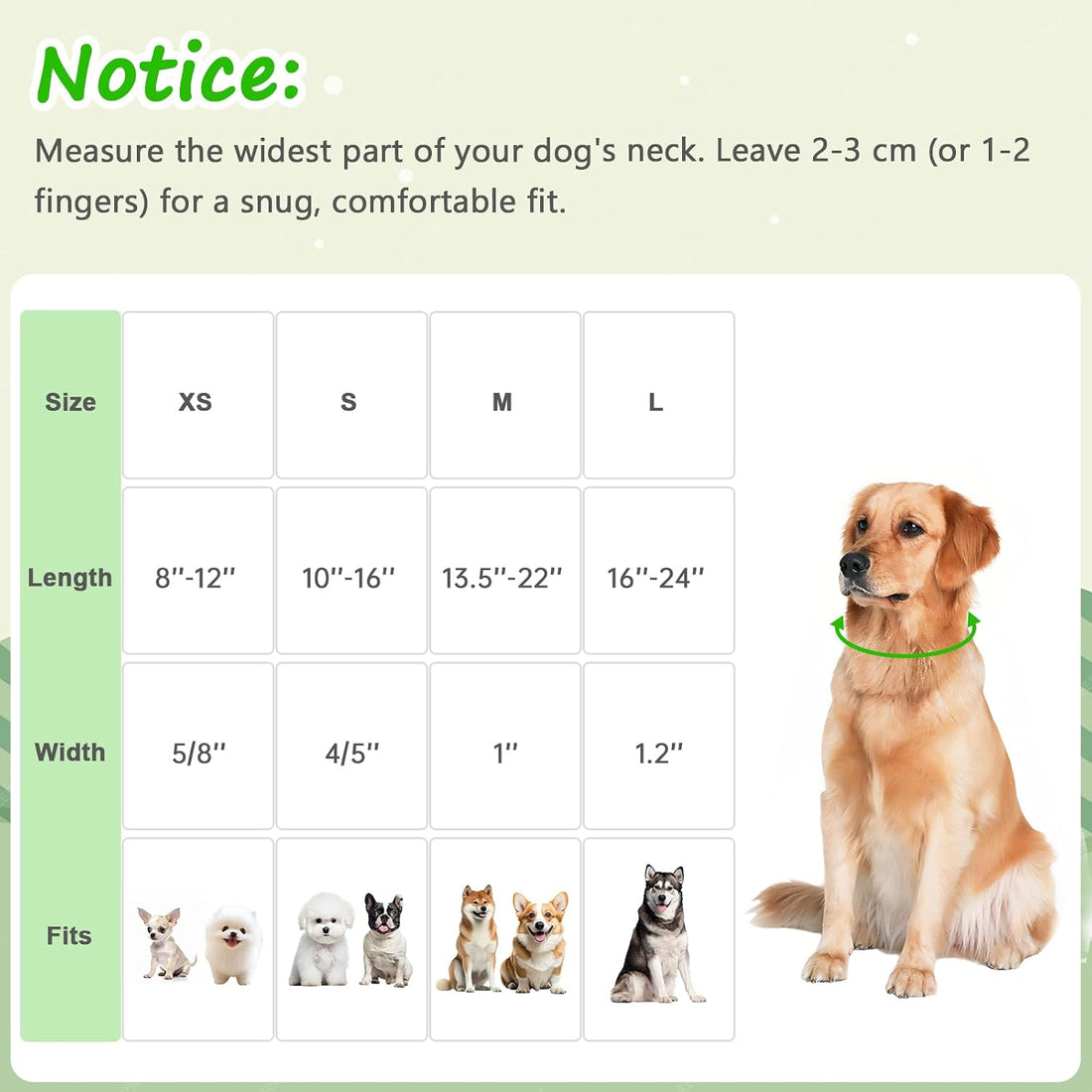 Medium Dog Collars for Male Dogs
