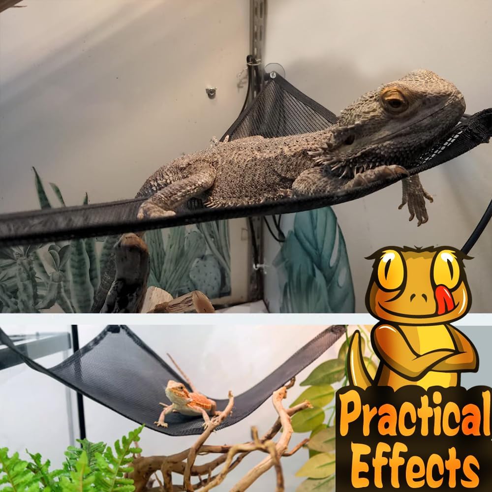 Bearded Dragon Hammock Reptile Hammock