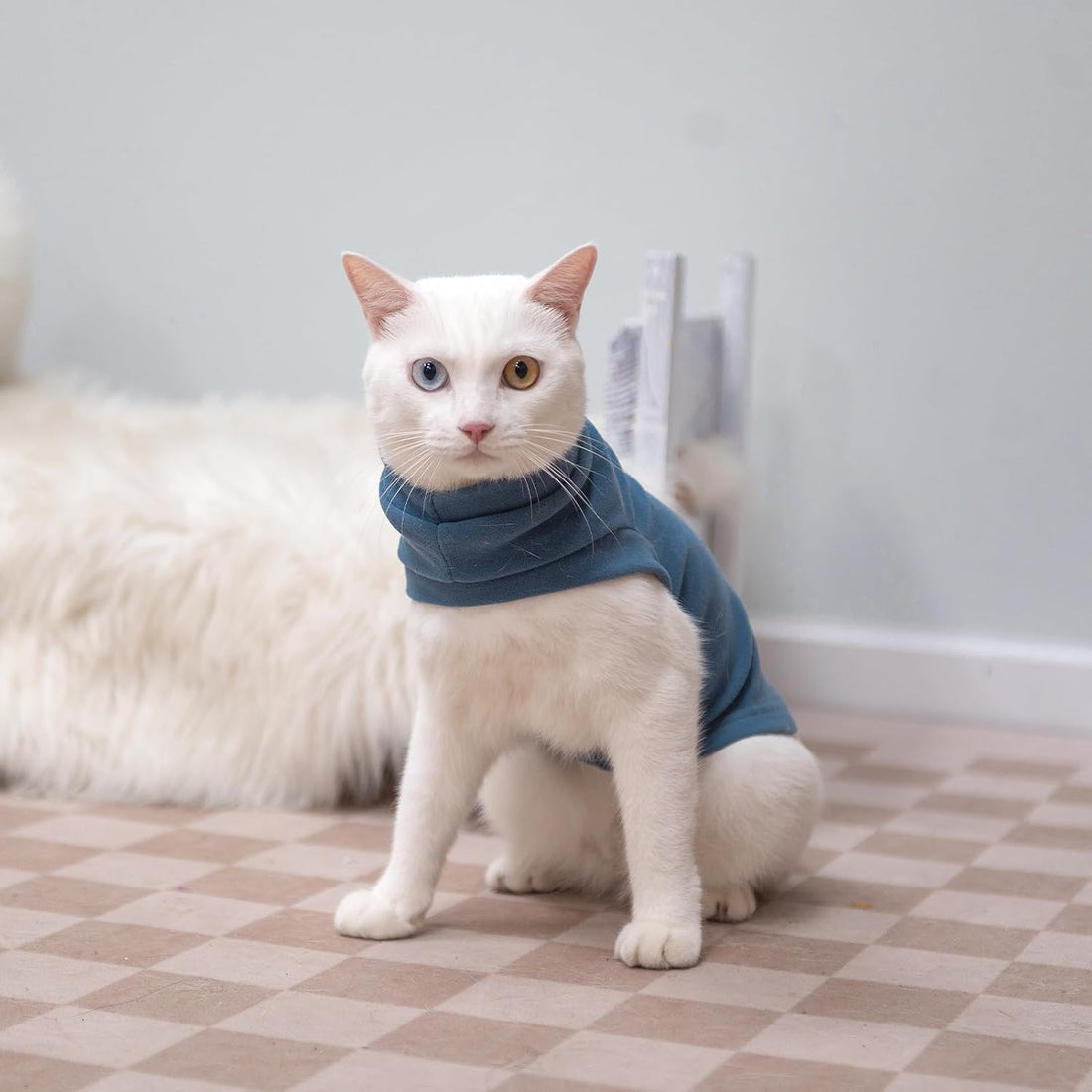 EXPAWLORER Soft Cat Sweater - Sweaters for Cats Only Warm Kitten