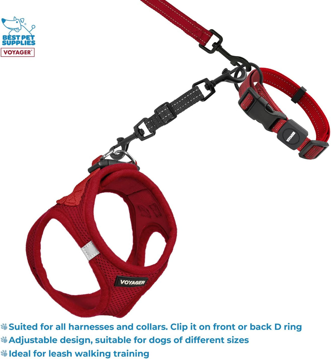 Best Pet Supplies Voyager Dog Collar Safety Clip with Dual Clasps