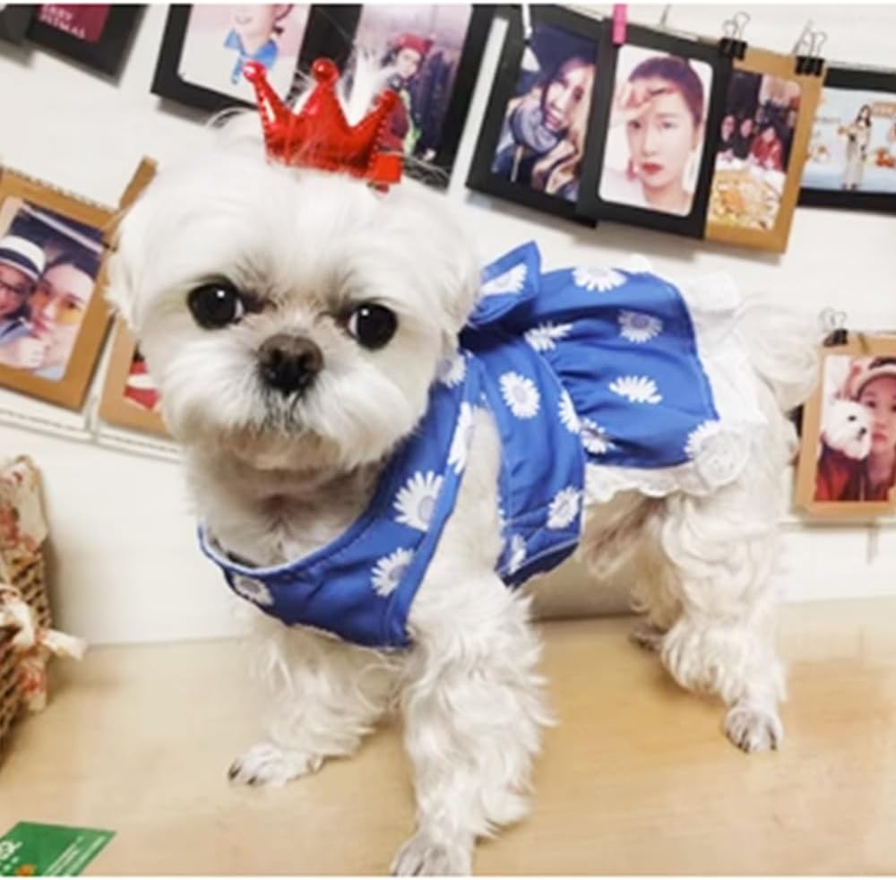 Anelekor Dog Harness Dress for Small Dog Daisy Floral Dog Harness
