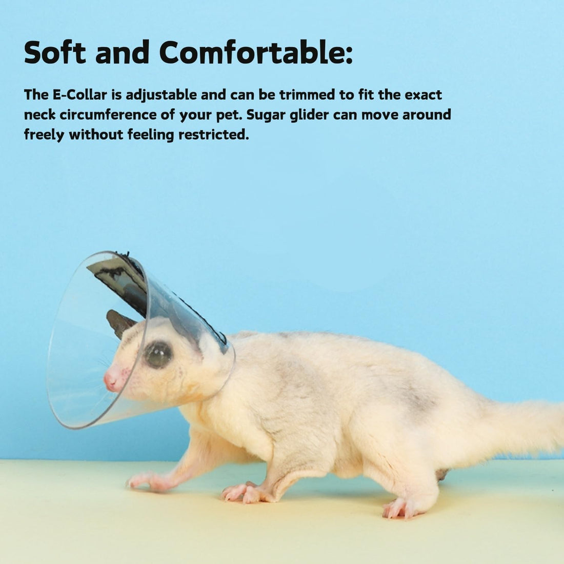 Sugar Glider Recovery Cone - Adjustable Protection Collar Soft
